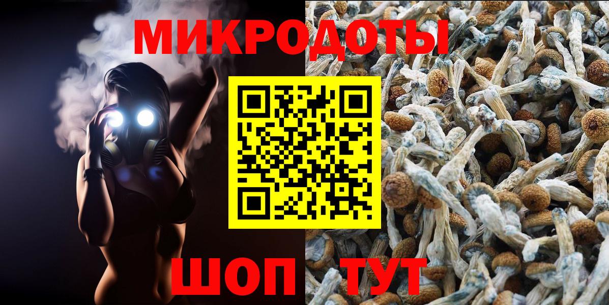 Шумерля  Галлюциногенные грибы прущие грибы  Вход с VPN 
