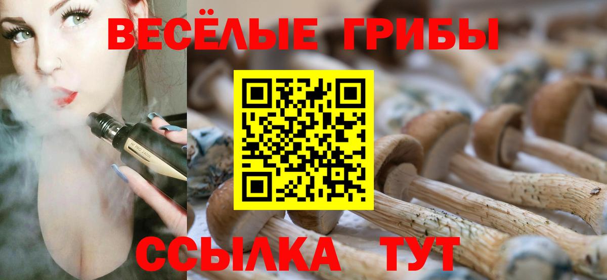 Псилоцибиновые грибы прущие грибы Шумерля