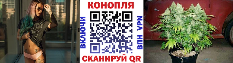 МЕГА   Шумерля  Бошки Шишки сатива  купить  